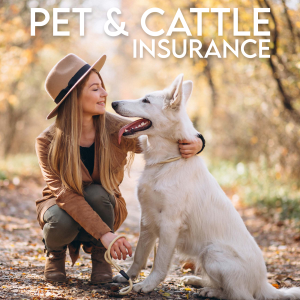 Pet & Cattle Insurance