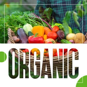 Organic templates