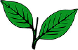 Kerala Congress (M)