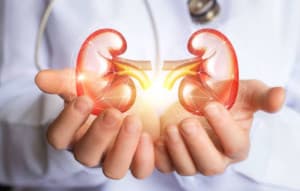 Urology Nephrology templates