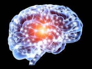 Neurology templates