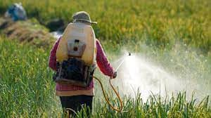 Pesticides templates