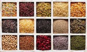 Seeds and Grains