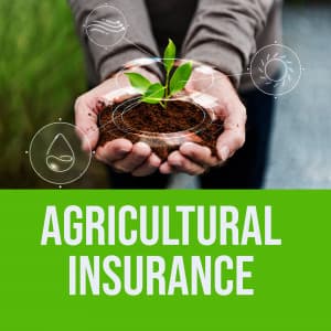 Agricultural Insurance