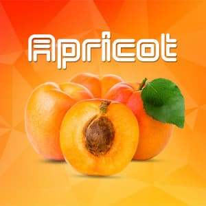 Apricot