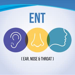 ENT ( Ear, Nose & Throat ) templates