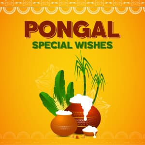 Pongal Special Wishes templates