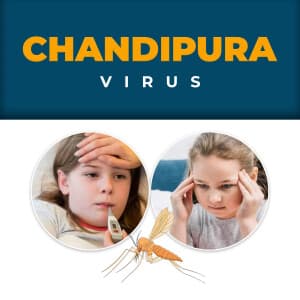 Chandipura Virus