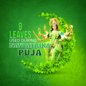 9 Leaves used during Navpatrika Puja