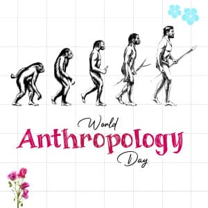 World Anthropology Day