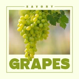 Grapes