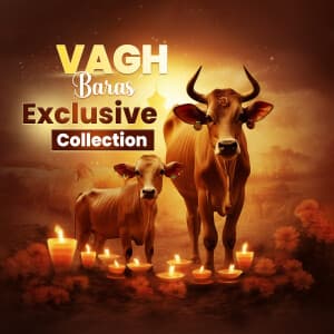 Vagh Baras Exclusive Collection