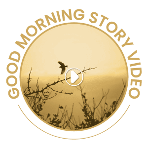 Good Morning Story Video templates