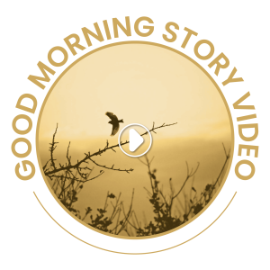 Good Morning Story Video