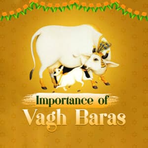 Importance of vagh baras templates