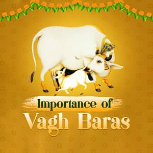Importance of vagh baras