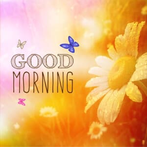 Good Morning templates