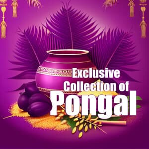 Exclusive Collection of Pongal templates