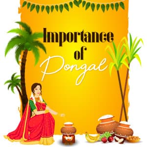 Importance of Pongal templates