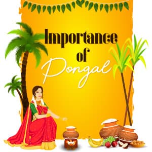 Importance of Pongal