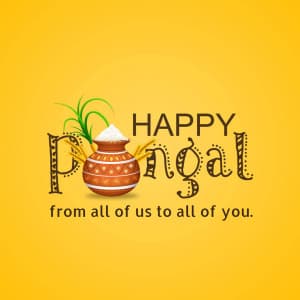 Pongal Insta story video templates
