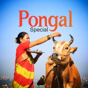 Pongal Special templates