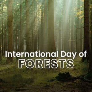 International Day of Forests