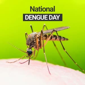 National Dengue Day