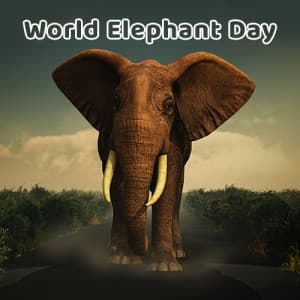 World Elephant Day