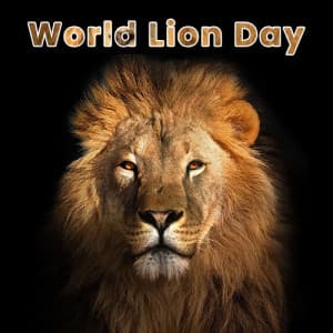 World Lion Day