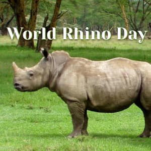 World Rhino Day