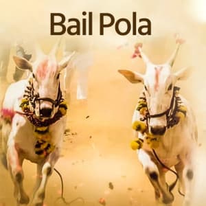 Bail Pola