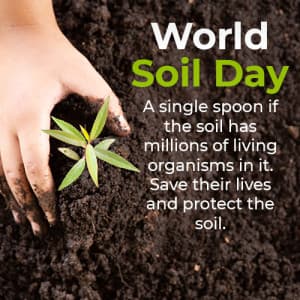 World Soil Day