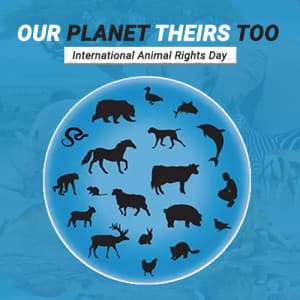 International Animal Rights Day