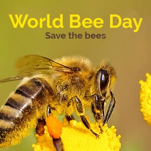 World Bee Day