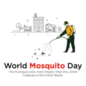 World Mosquito Day