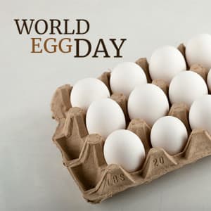 World Egg Day