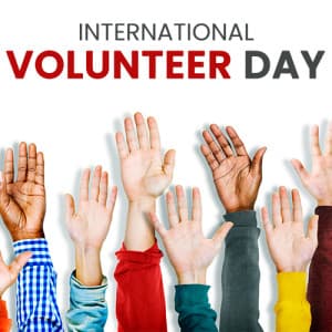 International Volunteer Day