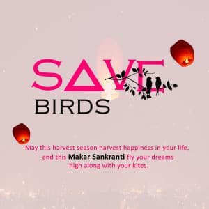 Save Birds Facebook Poster