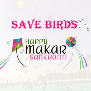 Save Birds Instagram Post