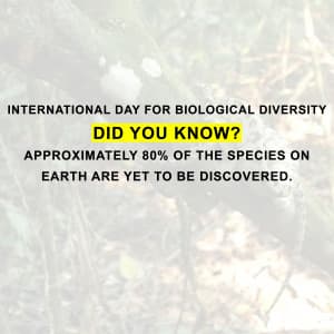 International Day for Biological Diversity festival image