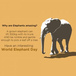 World Elephant Day greeting image