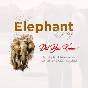 World Elephant Day marketing poster