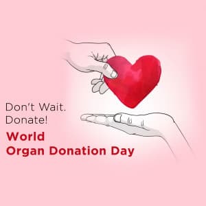 World Organ Donation Day graphic