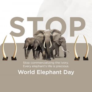 World Elephant Day ad post