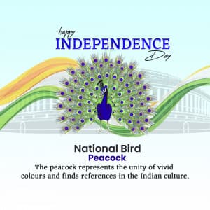 National Symbols illustration
