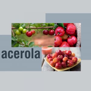 Acerola instagram post