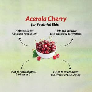 Acerola business video