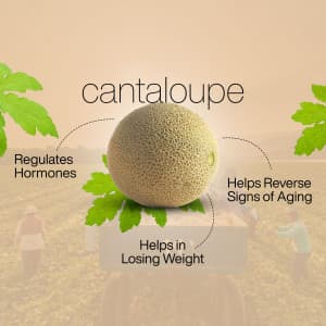 Cantaloupe promotional post