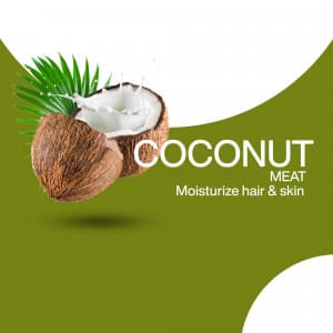Coconut Meat promotional images